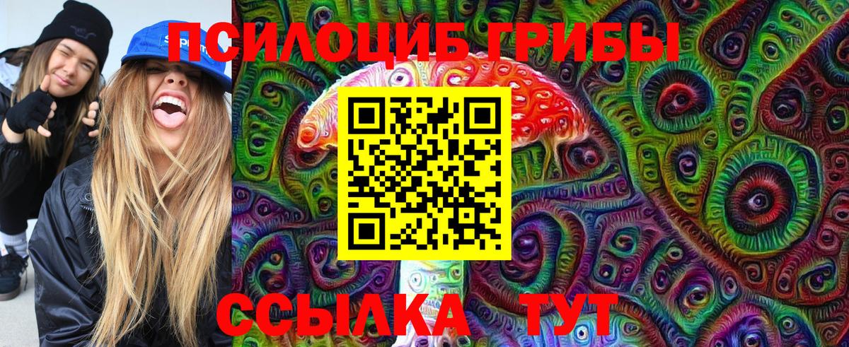 Галлюциногенные грибы Psilocybine cubensis  Псилоцибиновые грибы MAGIC MUSHROOMS  Бийск  Вход с VPN 